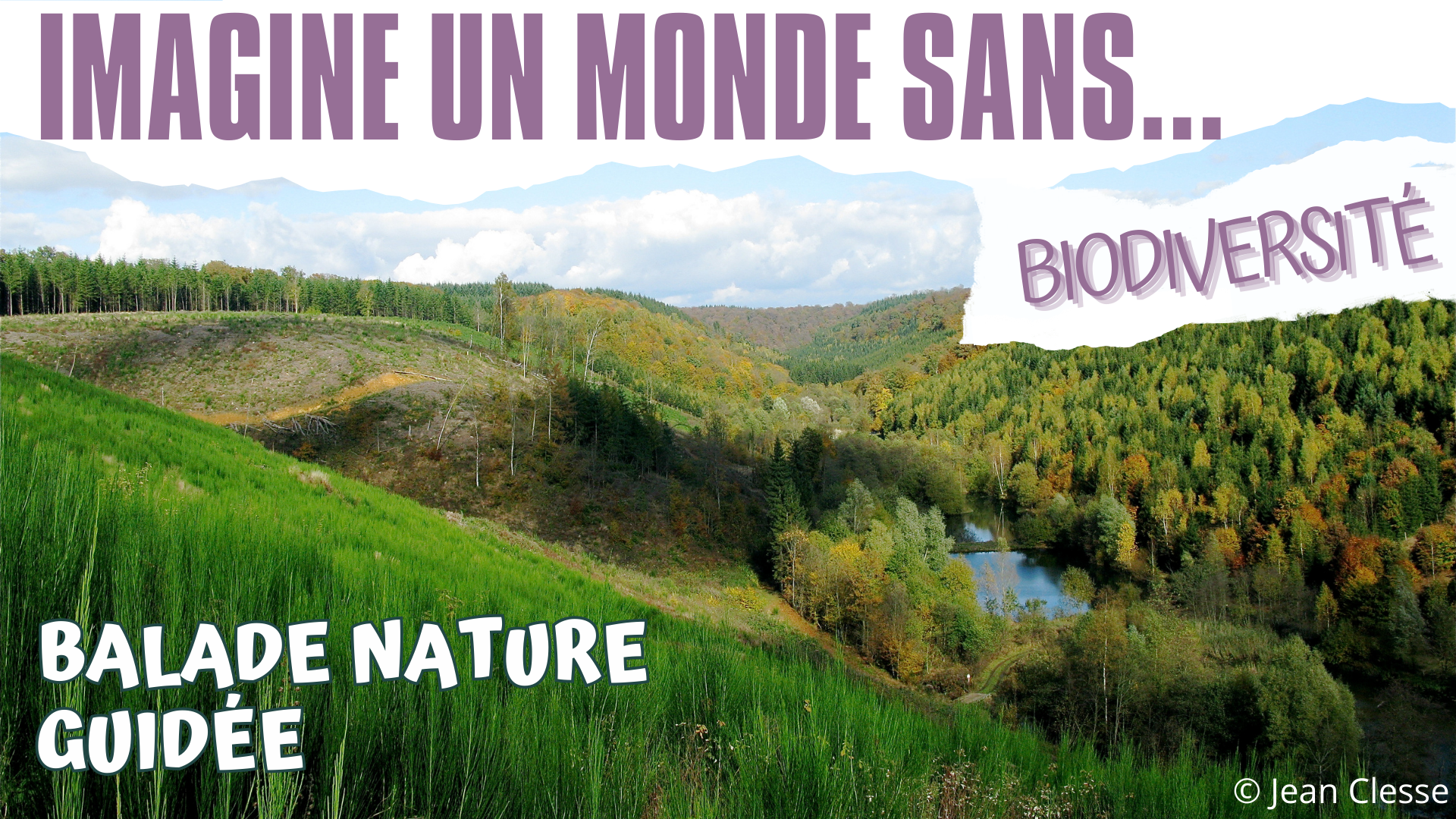 Biodiversite 1
