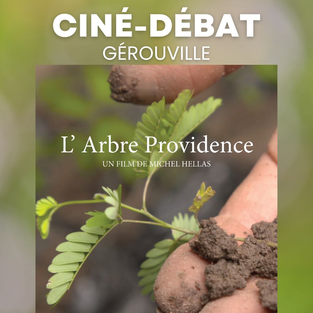 Ciné-débat | « L’Arbre Providence »